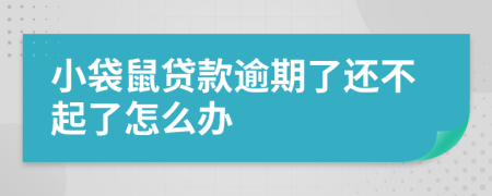 小袋鼠贷款逾期了还不起了怎么办