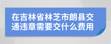 在吉林省林芝市朗县交通违章需要交什么费用