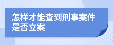 怎样才能查到刑事案件是否立案