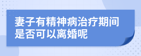 妻子有精神病治疗期间是否可以离婚呢