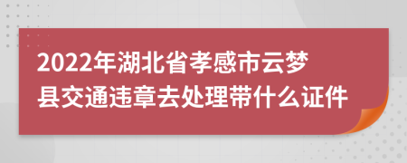 2022年湖北省孝感市云梦县交通违章去处理带什么证件