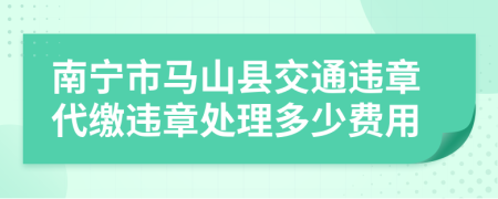南宁市马山县交通违章代缴违章处理多少费用