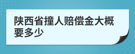 陕西省撞人赔偿金大概要多少