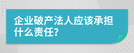 企业破产法人应该承担什么责任？