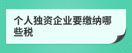 个人独资企业要缴纳哪些税