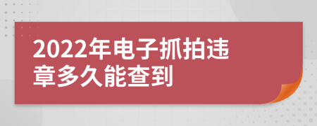 2022年电子抓拍违章多久能查到