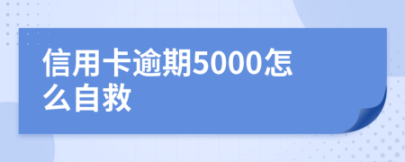 信用卡逾期5000怎么自救