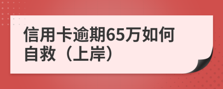 信用卡逾期65万如何自救（上岸）