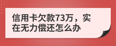 信用卡欠款73万，实在无力偿还怎么办