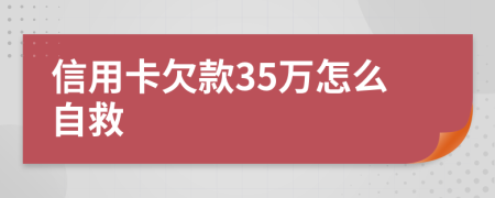 信用卡欠款35万怎么自救