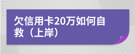 欠信用卡20万如何自救（上岸）