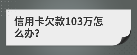 信用卡欠款103万怎么办？