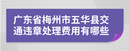 广东省梅州市五华县交通违章处理费用有哪些