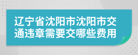 辽宁省沈阳市沈阳市交通违章需要交哪些费用