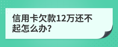 信用卡欠款12万还不起怎么办？