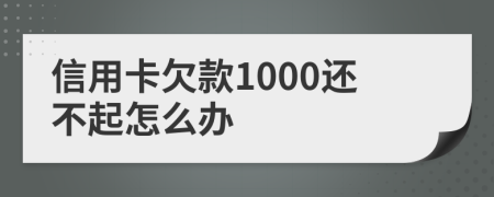 信用卡欠款1000还不起怎么办