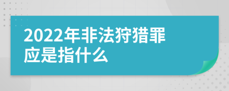 2022年非法狩猎罪应是指什么