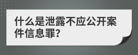 什么是泄露不应公开案件信息罪？