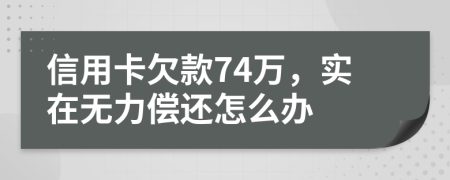 信用卡欠款74万，实在无力偿还怎么办