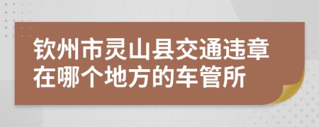 钦州市灵山县交通违章在哪个地方的车管所