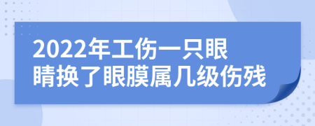 2022年工伤一只眼睛换了眼膜属几级伤残