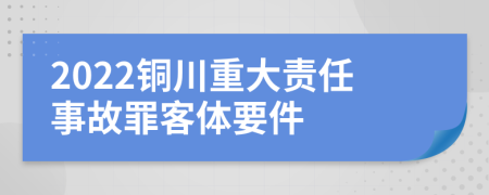 2022铜川重大责任事故罪客体要件