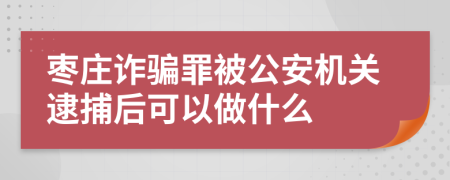 枣庄诈骗罪被公安机关逮捕后可以做什么