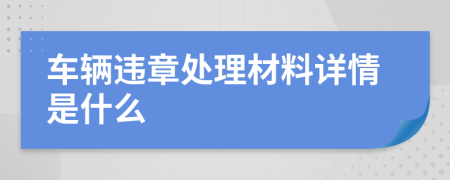 车辆违章处理材料详情是什么