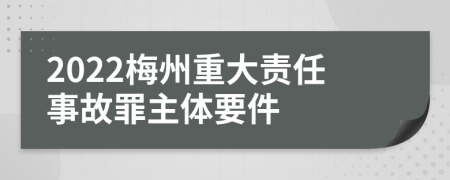 2022梅州重大责任事故罪主体要件