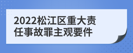 2022松江区重大责任事故罪主观要件