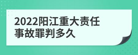 2022阳江重大责任事故罪判多久