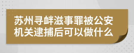 苏州寻衅滋事罪被公安机关逮捕后可以做什么