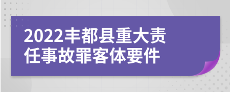 2022丰都县重大责任事故罪客体要件