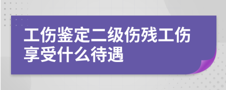 工伤鉴定二级伤残工伤享受什么待遇