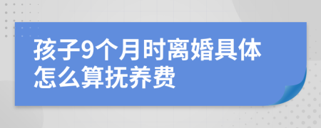 孩子9个月时离婚具体怎么算抚养费