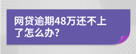 网贷逾期48万还不上了怎么办？