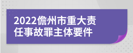 2022儋州市重大责任事故罪主体要件