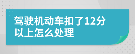 驾驶机动车扣了12分以上怎么处理
