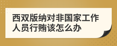 西双版纳对非国家工作人员行贿该怎么办