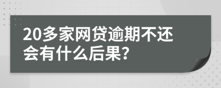 20多家网贷逾期不还会有什么后果？