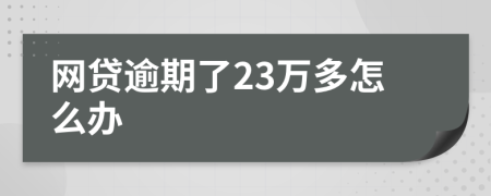 网贷逾期了23万多怎么办