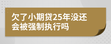 欠了小期贷25年没还会被强制执行吗