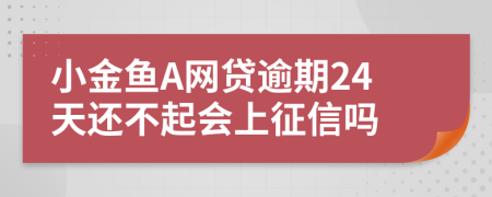 小金鱼A网贷逾期24天还不起会上征信吗