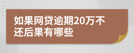 如果网贷逾期20万不还后果有哪些