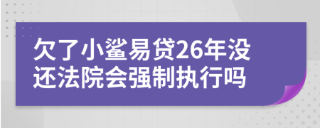 欠了小鲨易贷26年没还法院会强制执行吗