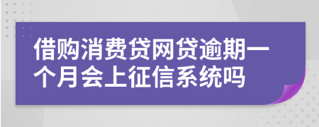 借购消费贷网贷逾期一个月会上征信系统吗