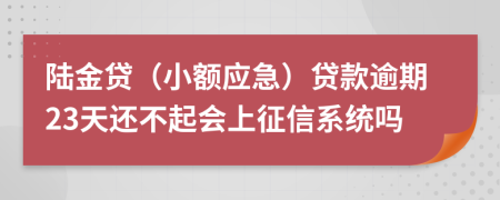 陆金贷（小额应急）贷款逾期23天还不起会上征信系统吗