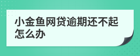 小金鱼网贷逾期还不起怎么办