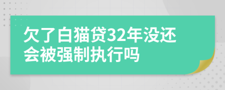 欠了白猫贷32年没还会被强制执行吗