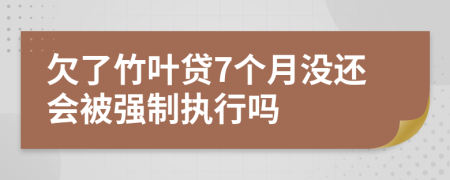 欠了竹叶贷7个月没还会被强制执行吗